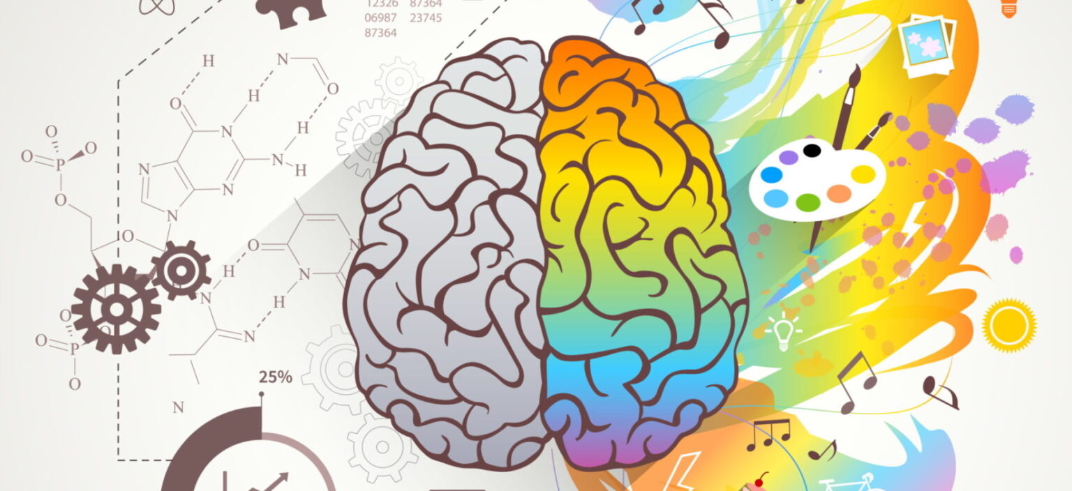 Il·lustració Reeducació